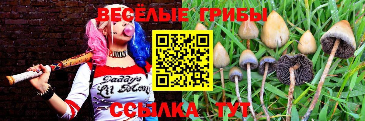 Галлюциногенные грибы ЛСД Армавир