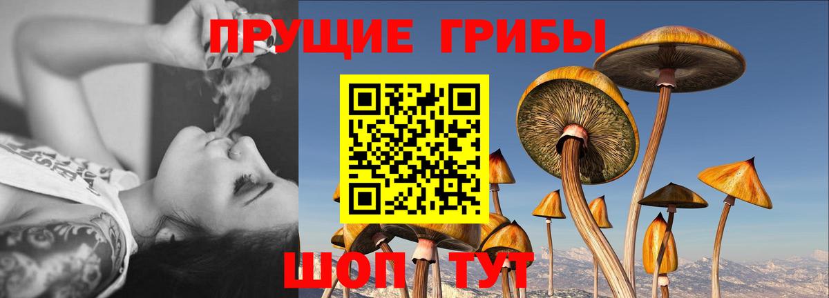 Галлюциногенные грибы мухоморы  Вход с VPN  Армавир 